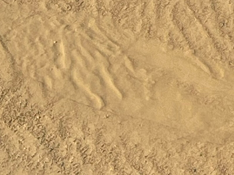 Beach Sand