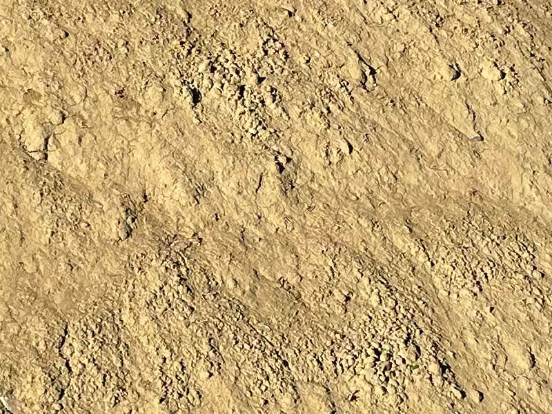Clay